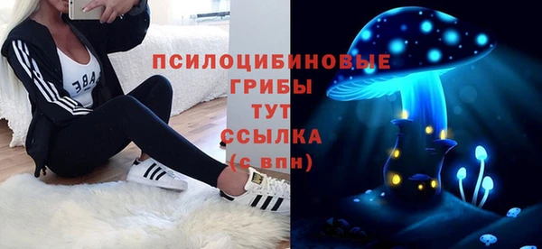 крисы Белокуриха