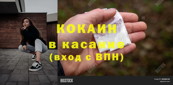 крисы Белокуриха