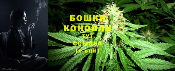 2c-b Белоозёрский