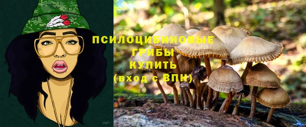 спиды Долгопрудный