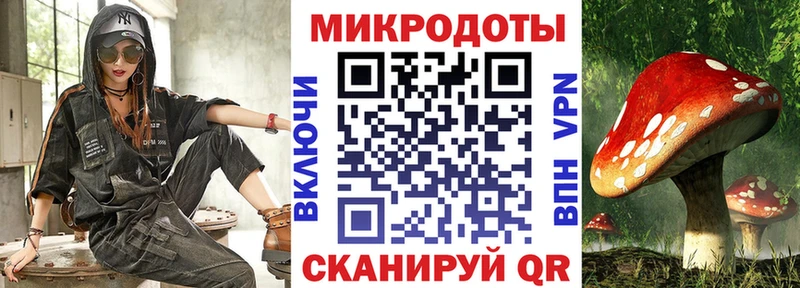 Псилоцибиновые грибы Magic Shrooms  где купить   Богданович 